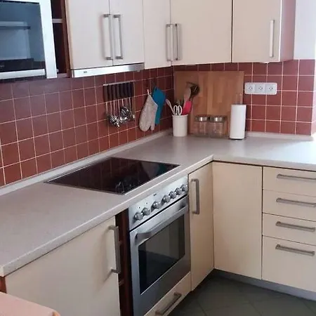 Apartman Na Slezskem Predmesti 아파트 *